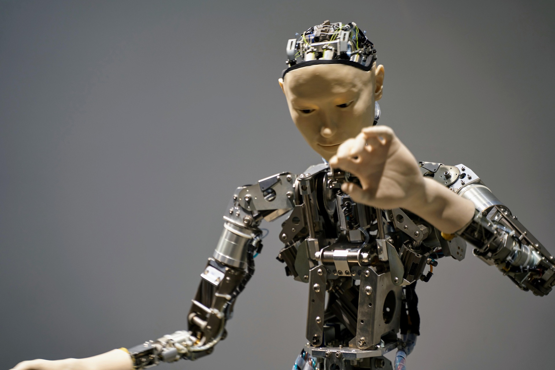 Harnessing AI for Business Transformation – The CelerityEdge Advantage